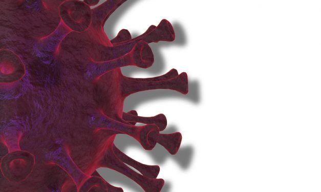 Utilización técnica datos: coronavirus
